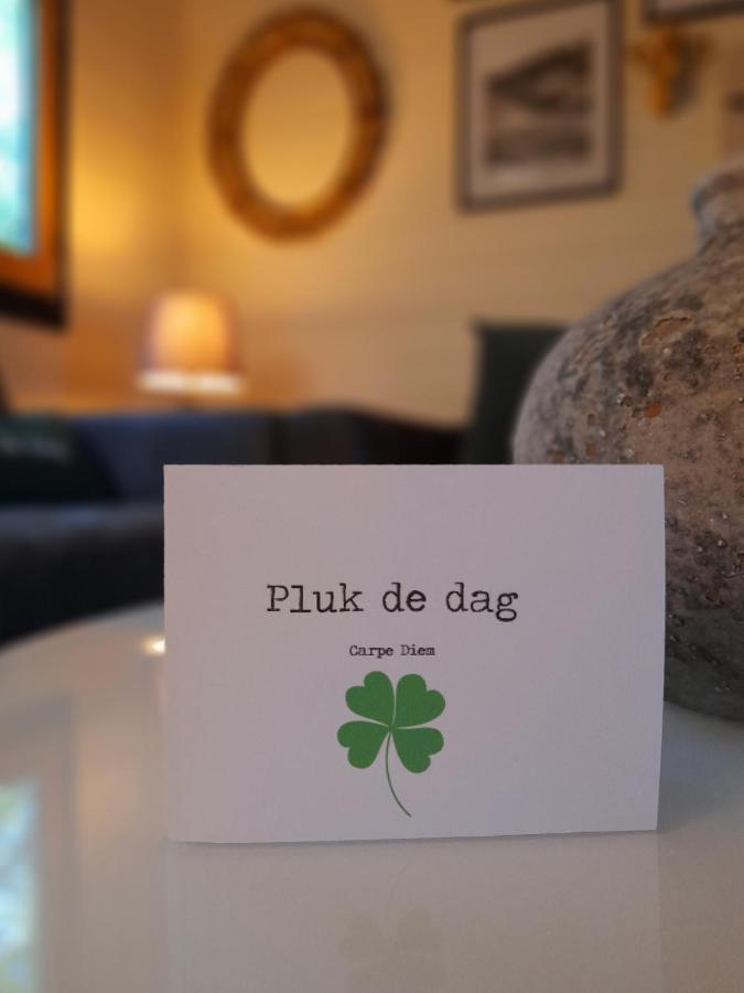 Carpe Diem, Het Ruime Chalet Met Houtkachel Nabij Wildlands Emmen Schoonebeek Eksteriør bilde